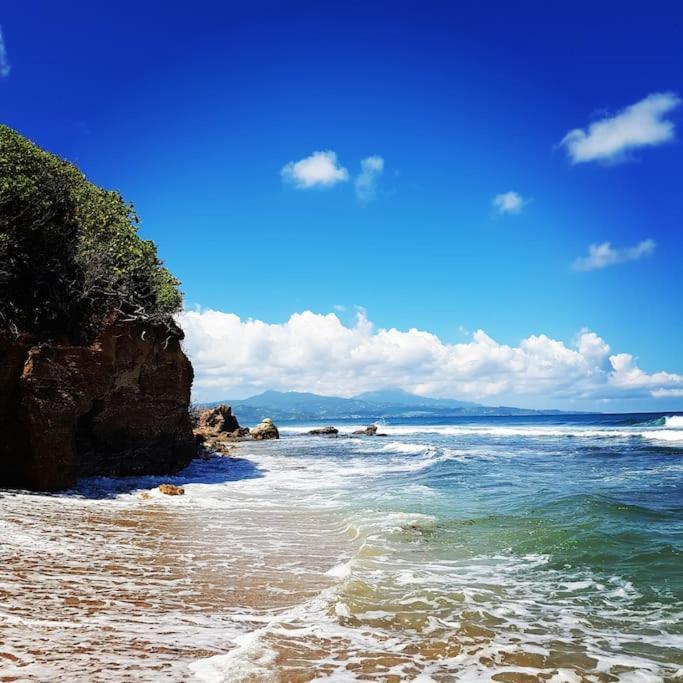 Charmant Et Spacieux Studio A 50M De La Plage Le Diamant Buitenkant foto
